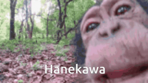 a strange looking creature with the words hanakawa over it