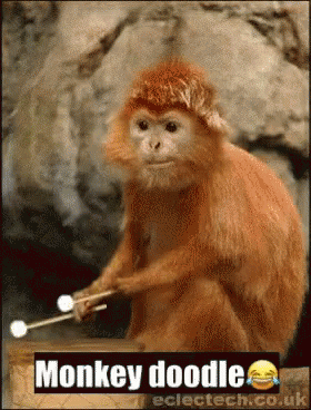 a monkey has a ball and a stick in its hand