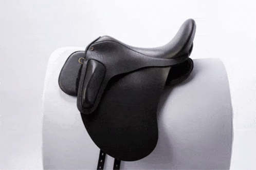 a white and black horse's saddle with a gray saddle