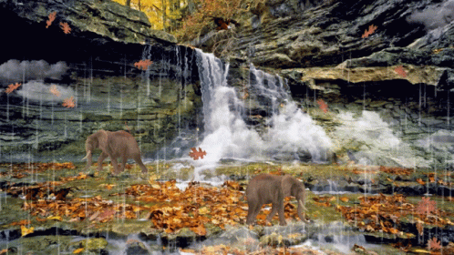 a waterfall, with elephants and birds sitting below