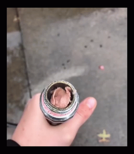 a person is holding up a small metal object with a circular hole in it