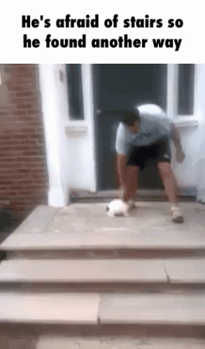 a person stepping up the steps with their hands on the ground