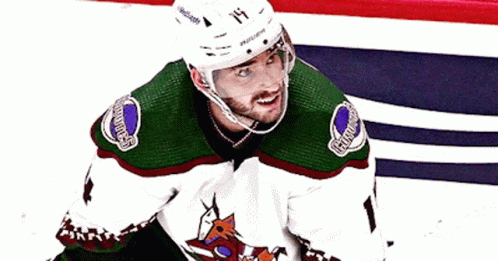 a hockey player in white and green jersey and helmet on the ice