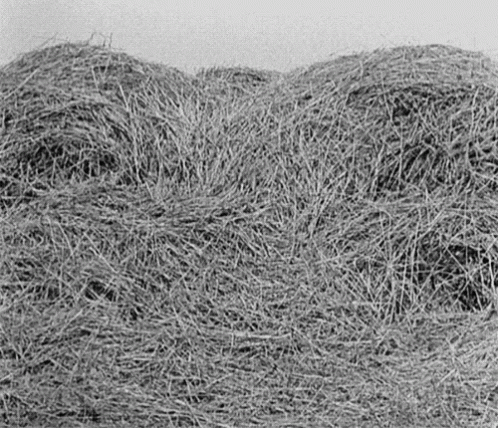 this is a black and white image of hay