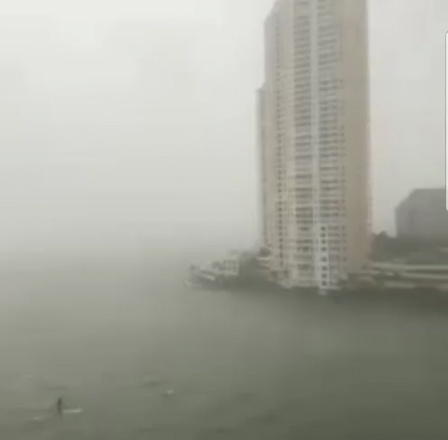 a person riding a surfboard near some buildings in the fog