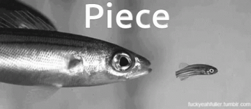 an advertit with a fish that is next to a piece of food