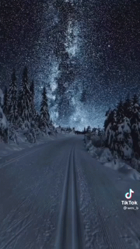 a night sky filled with stars over the snow covered trees