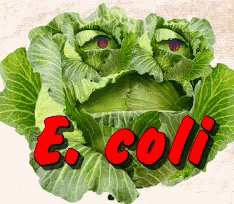 a group of green leaves with the letter e colli in it