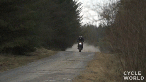 man on a motorcycle in the middle of the road near some trees