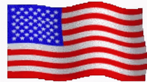 an american flag with white stars on it