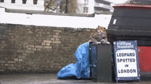 a sign on the side of a road warns against leopard spoted in london