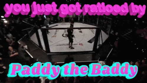 a hockey game in a gym room with a caption that reads, you just got irritated by paddy the baddy
