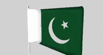 an pakistan flag with a white star on the left side