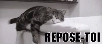 a cat on a toilet with text saying repose - toi