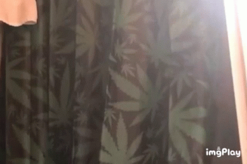 this is a blurry image of a marijuana curtain