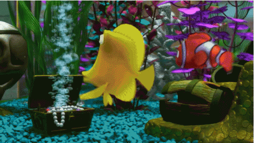 a computer generated po of an aquarium with tropical fish and plants in it