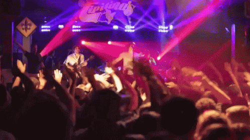 a crowd at a concert raising their hands in the air