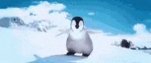 a penguin in the snow is very cute