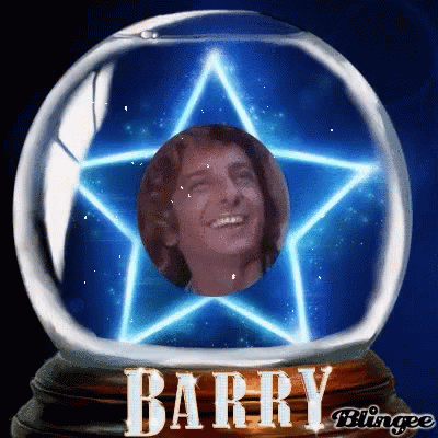 barry grant smiling behind a star in a snow globe