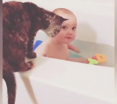 a cat is playing with a baby in the tub