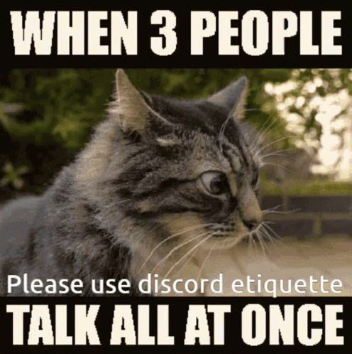 a cat stares into the distance, and there is a sign in the foreground that reads when 3 people please use discord etiquette talk at once