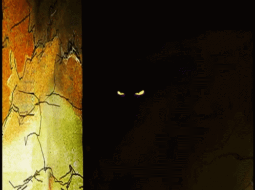 a cat staring straight ahead, in dark room