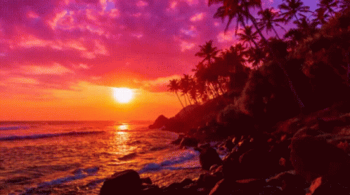 a view of an ocean and some palm trees under a purple sky