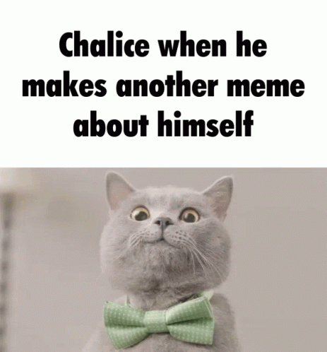 a gray cat with a bow tie on saying that the same is what makes another meme about himself