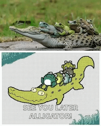 four cross stitch pictures of alligators and one is the same
