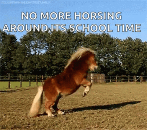 a blue horse is running in an empty field
