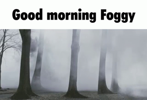 foggy trees are blowing into the wind and with words on them