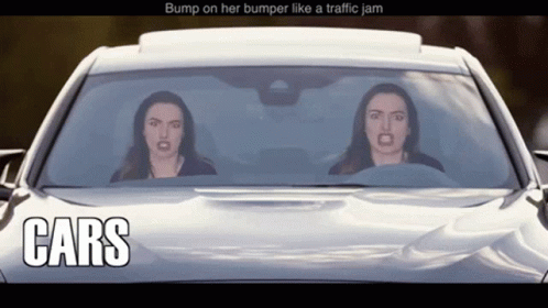 two people in a car and the text cars above them reads bump on her bumper like a traffic jam