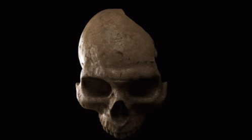 a black skull with the left half turned to reveal a large piece of plastic