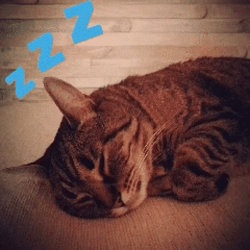 a cat is sleeping on a couch with its head up and head down