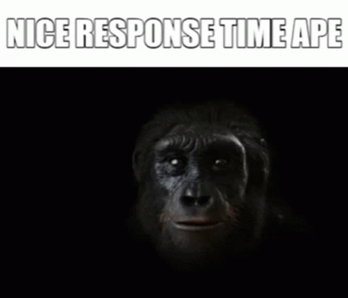 a gorilla looking down at a sign with a caption saying nice response time afe