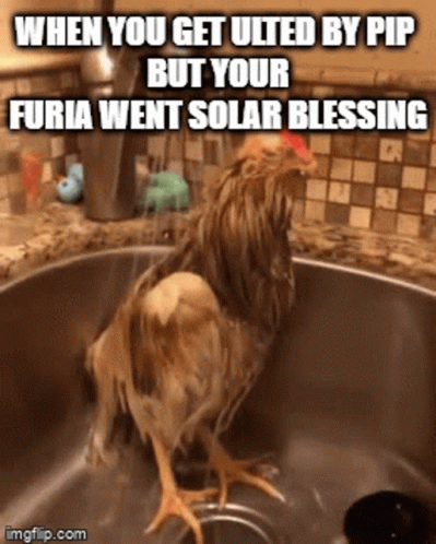 a bird in the sink with an caption written below