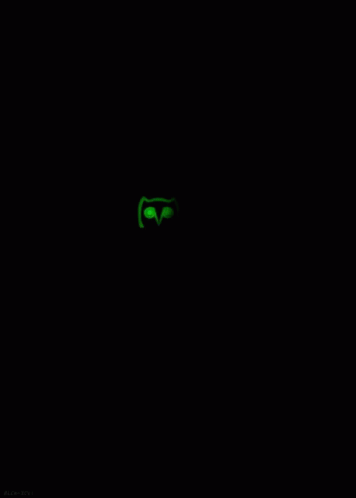 the green light on the wall shows the cat