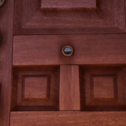closeup view of door with two s that have handles