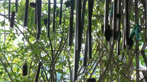 multiple wind chimes in the center of a garden of tree nches
