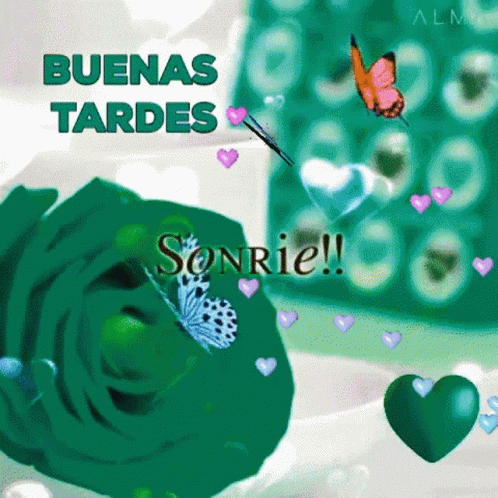 a card with erflies and hearts in spanish
