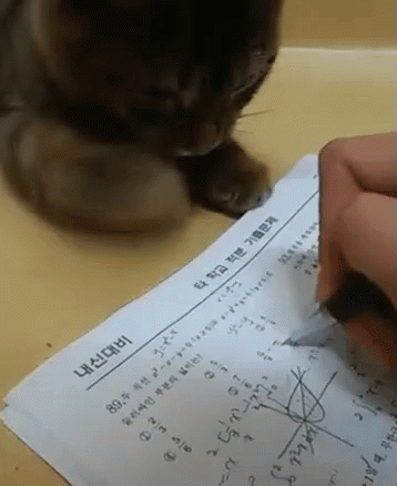 a cat sitting on a table looking at an incomplete piece of paper
