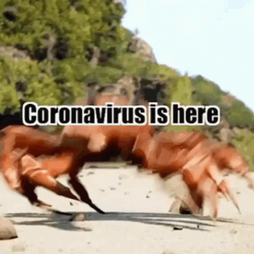 there is a sign with the words coronavirgus here