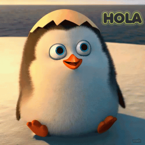 this penguin has been added to the animated version of'holiday with hola '