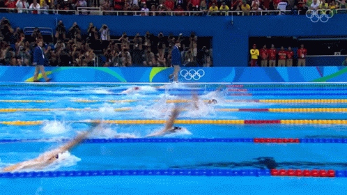a digital image of swimmers and swimmers in the olympic pool