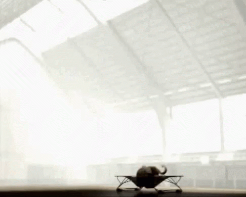 a strange bug sits on the edge of an empty room