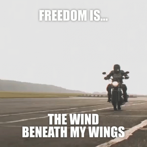 two motorcyclists driving down the road together with a caption saying, freedom is