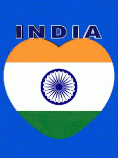 the flag of india with the word india