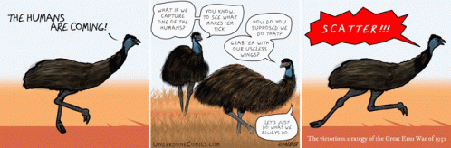 there is an image of two cartoons, one about ostriches