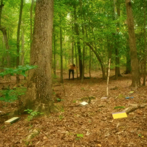 man walking through a wooded forest area with many trees