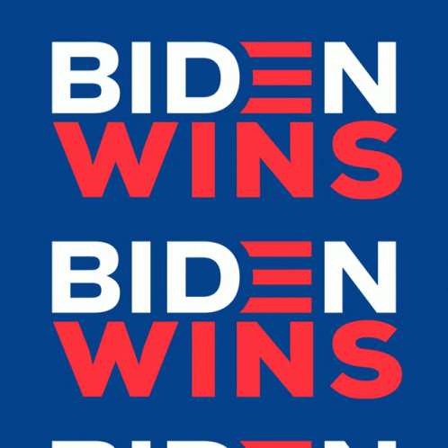 the front cover of a book with the words biden wins, biden wins